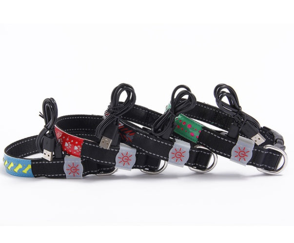 Glow Up LED Collar for Happy Night Walks
