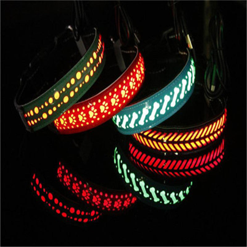 Glow Up LED Collar for Happy Night Walks
