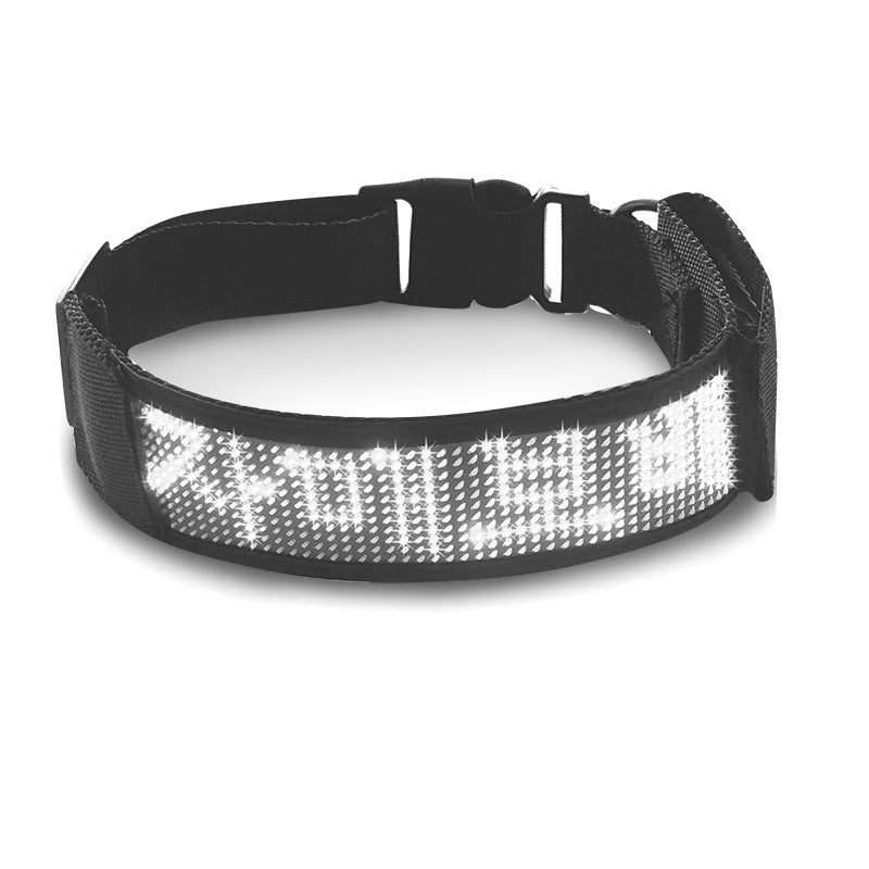 Glow-Up Pet Collar for Safe Night Walks