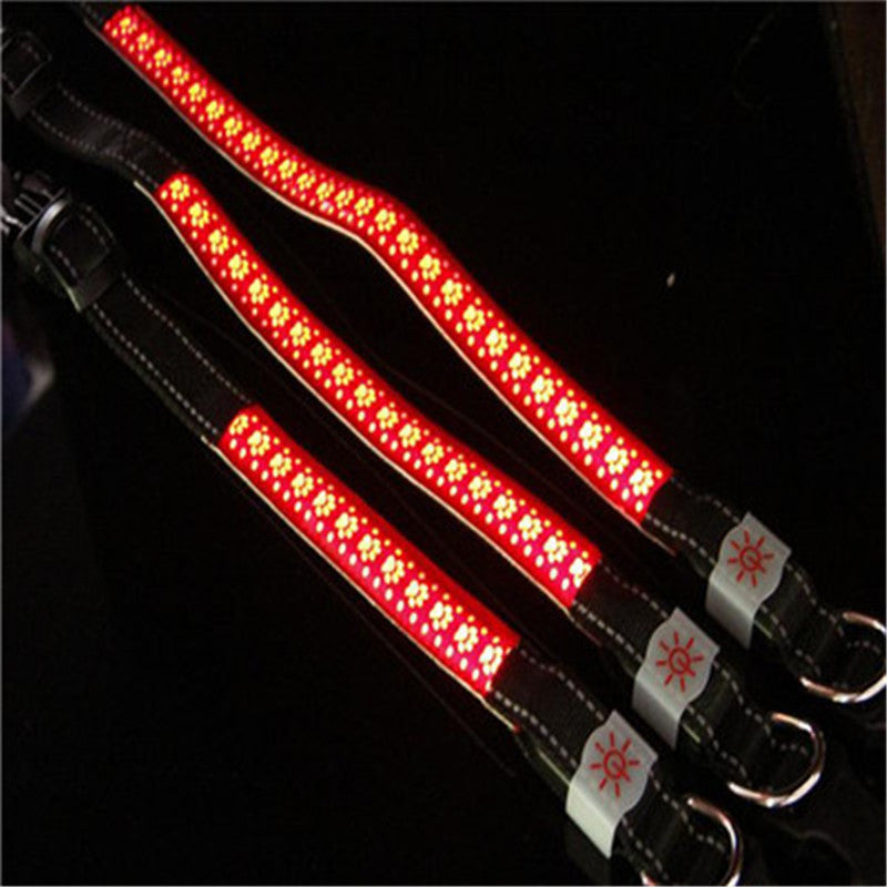 Glow Up LED Collar for Happy Night Walks
