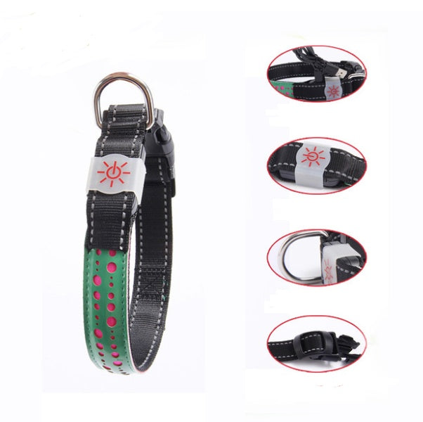 Glow Up LED Collar for Happy Night Walks
