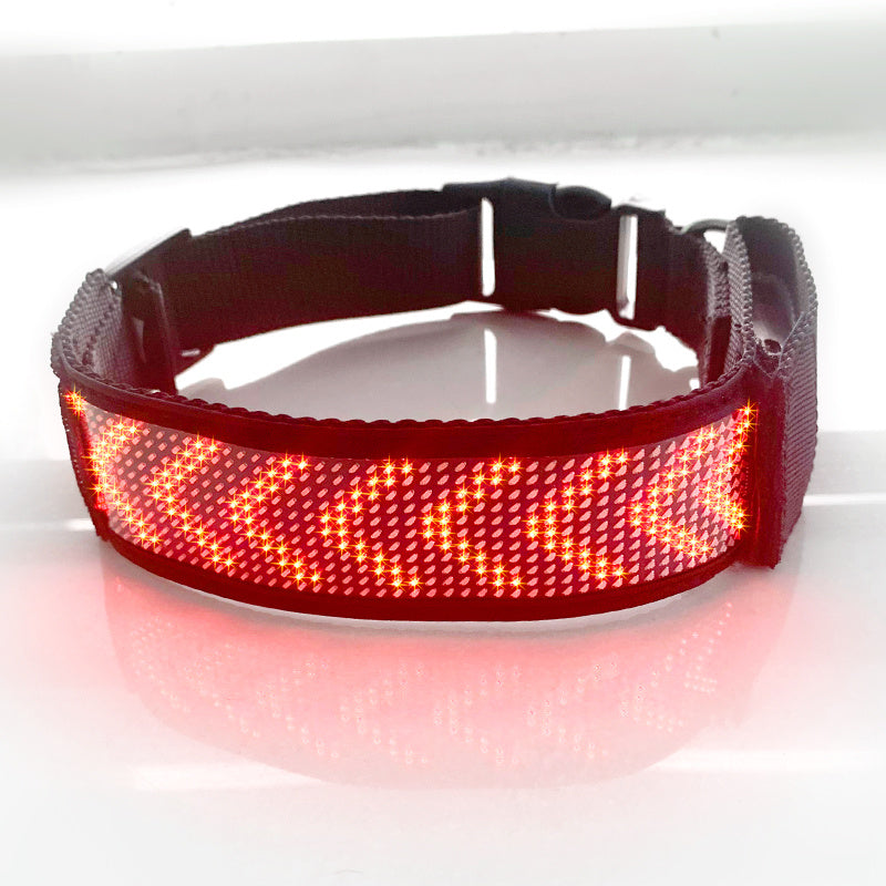 Glow-Up Pet Collar for Safe Night Walks
