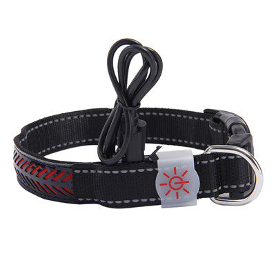 Glow Up LED Collar for Happy Night Walks