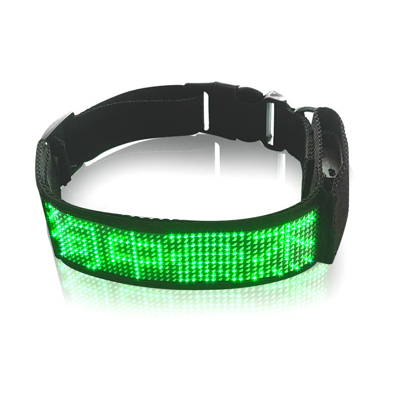 Glow-Up Pet Collar for Safe Night Walks