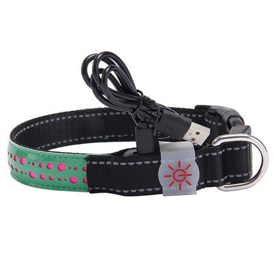Glow Up LED Collar for Happy Night Walks