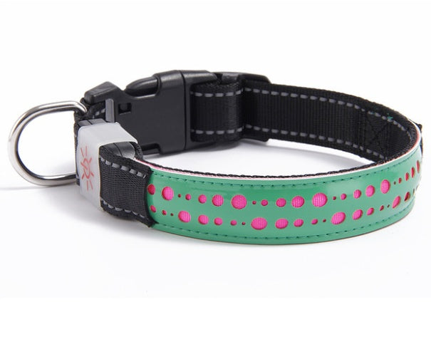 Glow Up LED Collar for Happy Night Walks