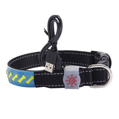 Glow Up LED Collar for Happy Night Walks