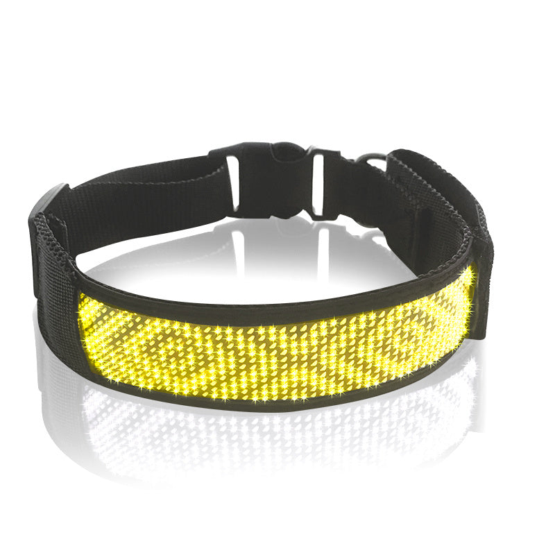 Glow-Up Pet Collar for Safe Night Walks