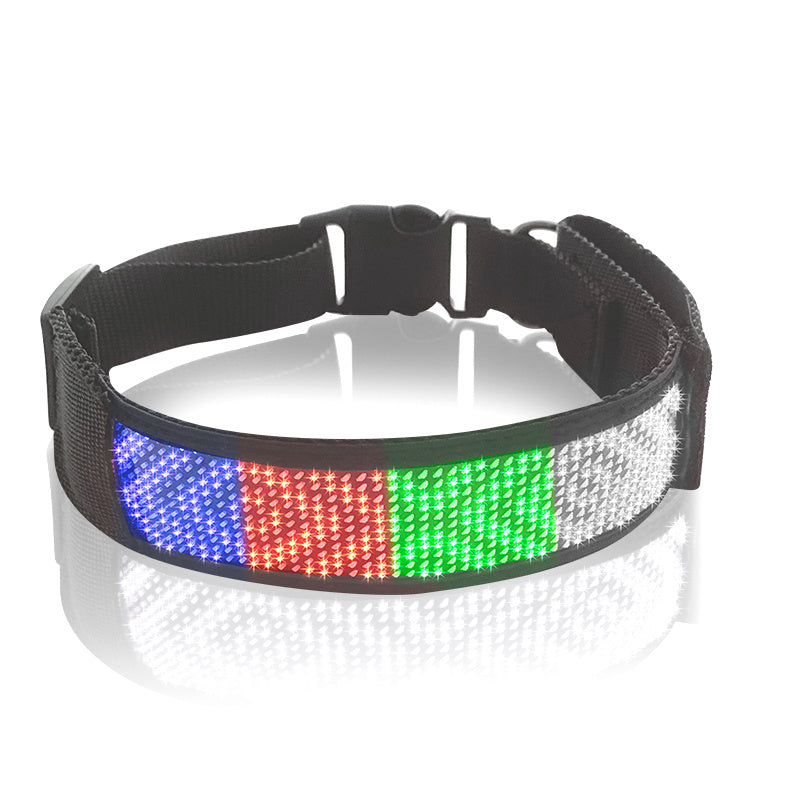 Glow-Up Pet Collar for Safe Night Walks