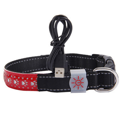 Glow Up LED Collar for Happy Night Walks