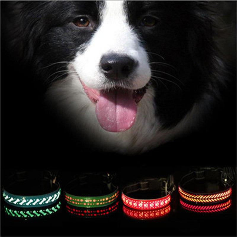 Glow Up LED Collar for Happy Night Walks