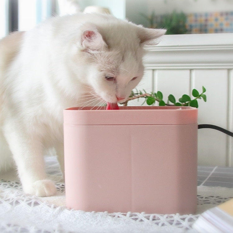 Smart Cat Fountain – Fresh Water Anytime, Happy Pets