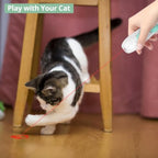 2-in-1 Cat Wand: Laser + Feather Playtime