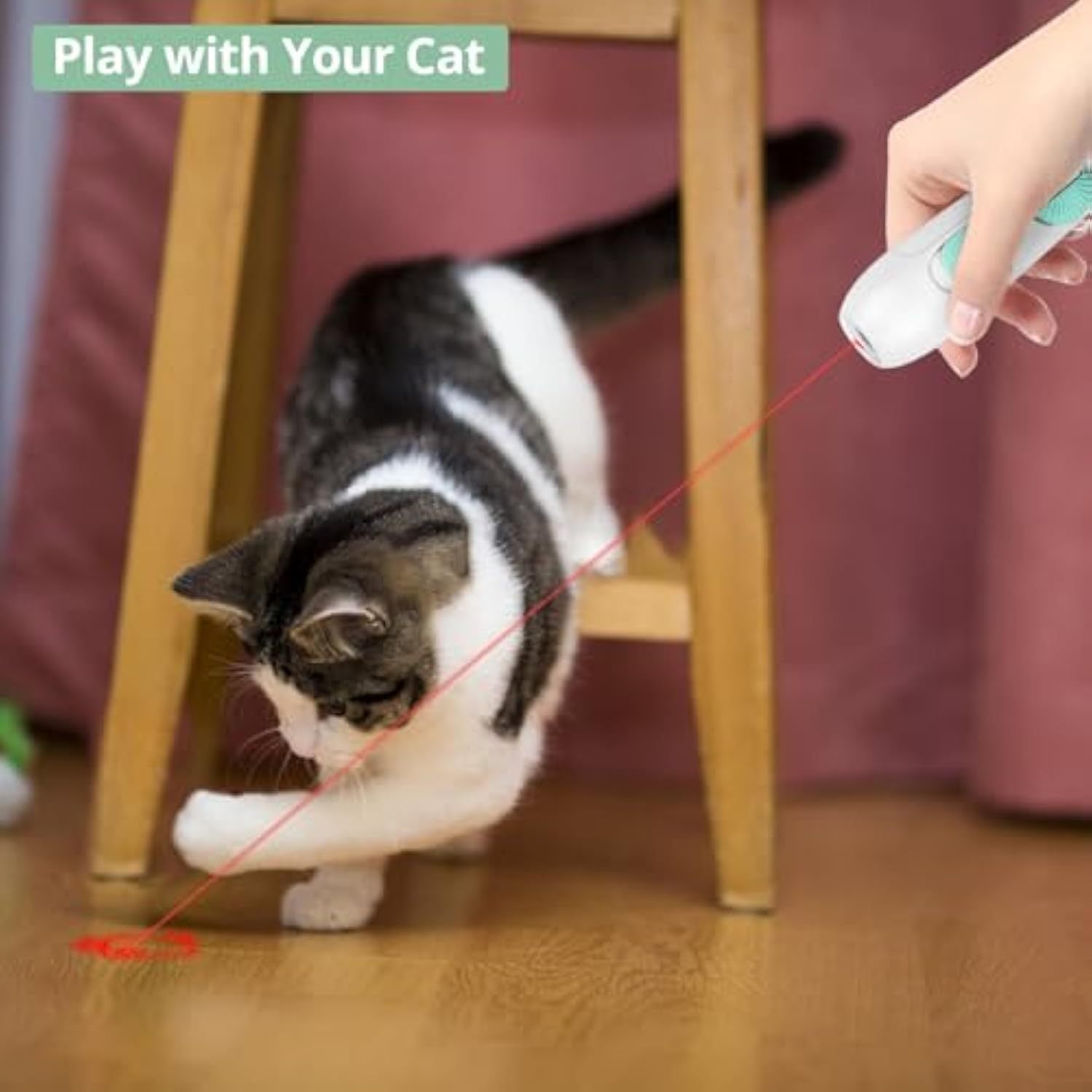 2-in-1 Cat Wand: Laser + Feather Playtime