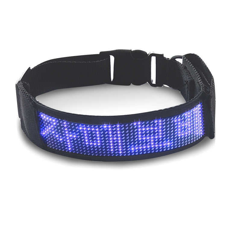 Glow-Up Pet Collar for Safe Night Walks