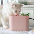 Smart Cat Fountain – Fresh Water Anytime, Happy Pets