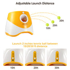 Automatic Dog Ball Launcher – Endless Fetch Fun!